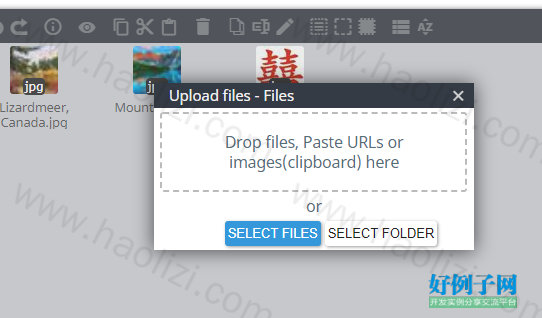 from clipboard