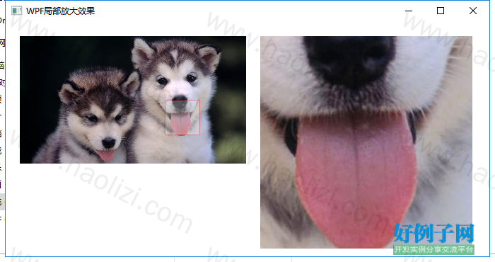 from clipboard