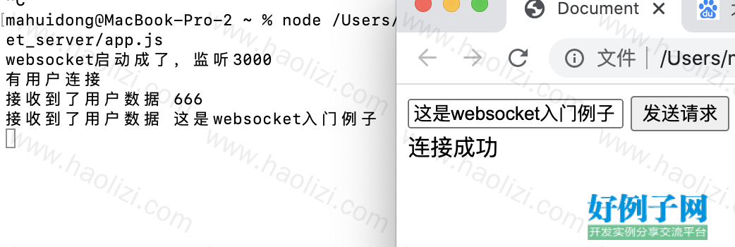 from clipboard