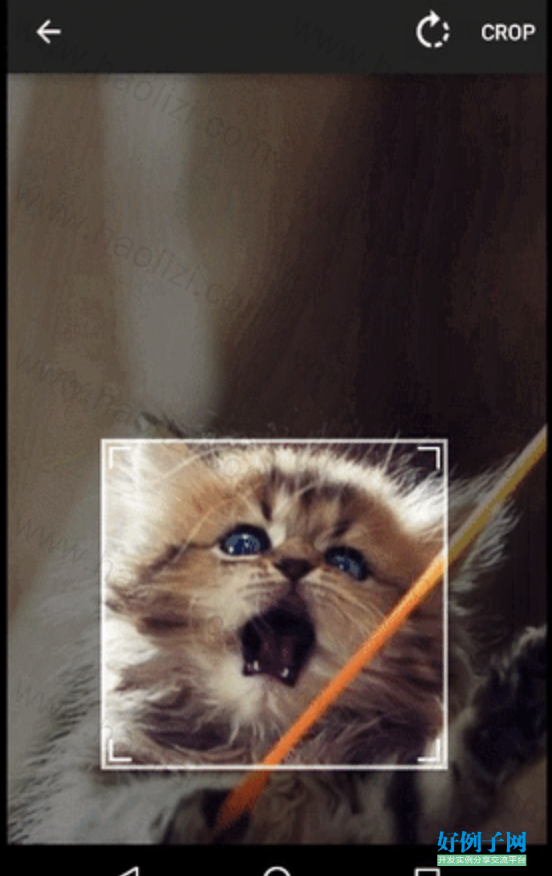 from clipboard